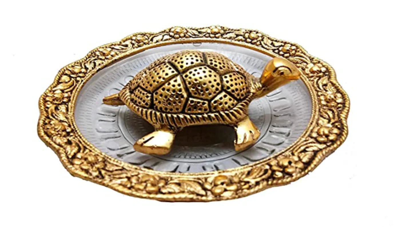 Tortoise with Glass Plate - Brass Daddy