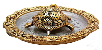 Tortoise with Glass Plate - Brass Daddy