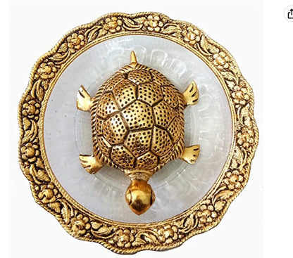 Tortoise with Glass Plate - Brass Daddy